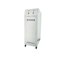 北京谱莱析 PGN-10L氮气发生器